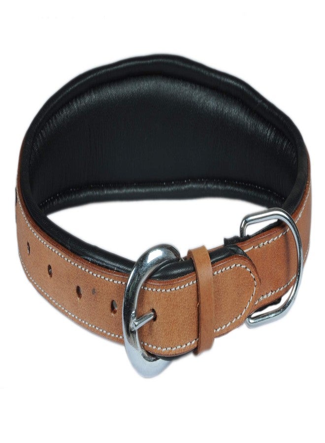 Skora Leather Padded Custom Handmade Hand Tool Dog Collar and Leash Set (Large) Combo Offer Dog Leash with Dog Leather Collar - Image 3